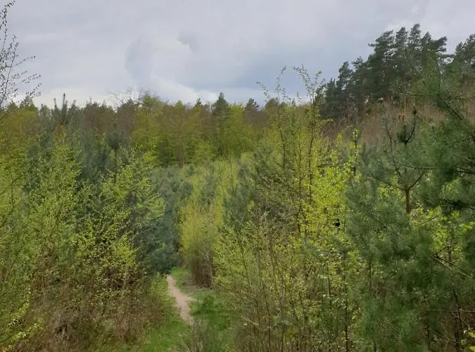 Mieszkanie Przy Parku Krajobrazowym Apartamento *